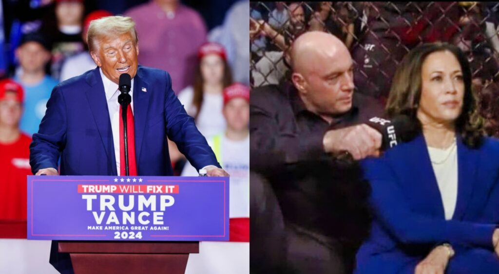 Donald Trump during rally and Kamala Harris pictures in cage with Joe Rogan