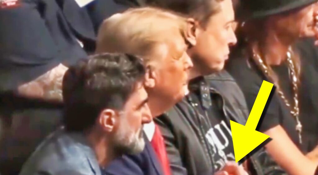 Donald Trump and Elon Musk at UFC 309