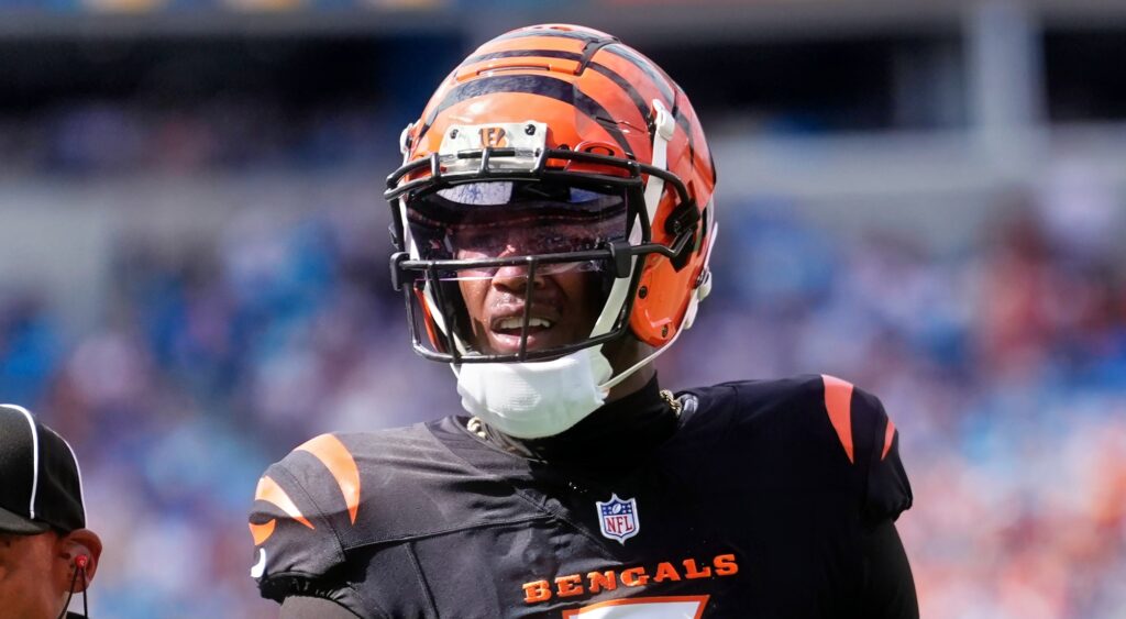 Tee Higgins of Cincinnati Bengals looking on.