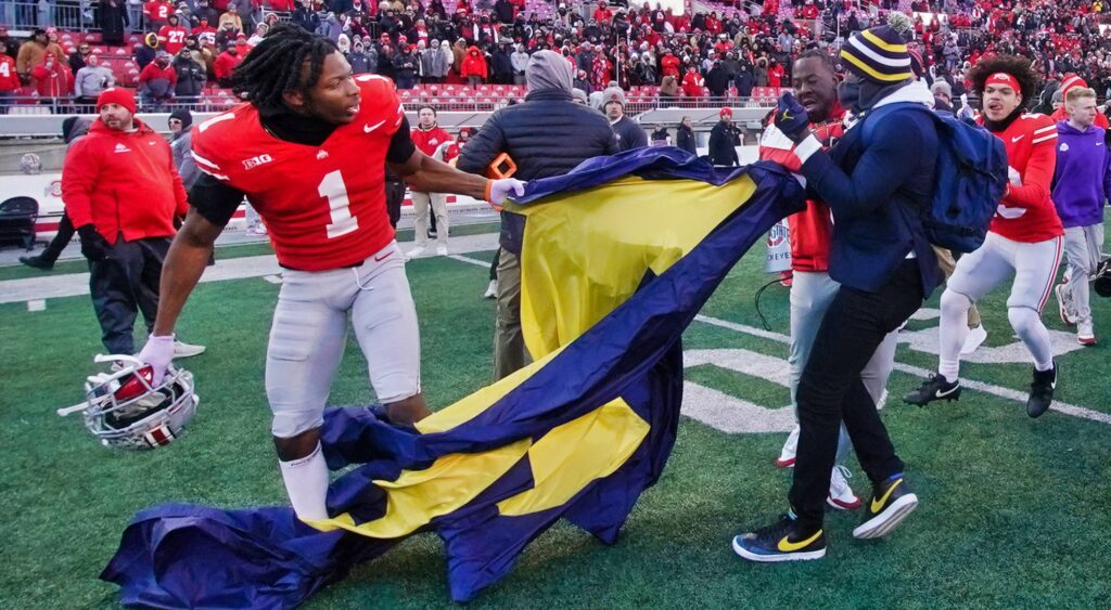 Michigan fan fighting Ohio State players