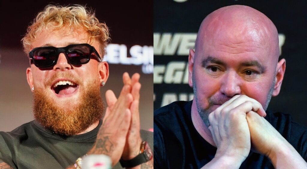 Jake Paul Calls Out Dana White's Boxing Promotions