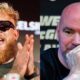 Jake Paul Calls Out Dana White's Boxing Promotions