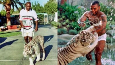 The Unconventional Pets of Mike Tyson