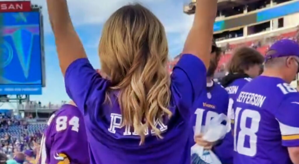 Minnesota Vikings fan in stands