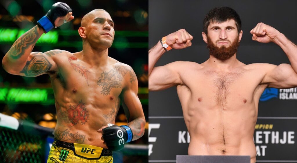 Alex Pereira Faces ‘Ducking’ Accusations After Ignoring Magomed Ankalaev in a Recent Update, With Fans Calling Him ‘Chicken’