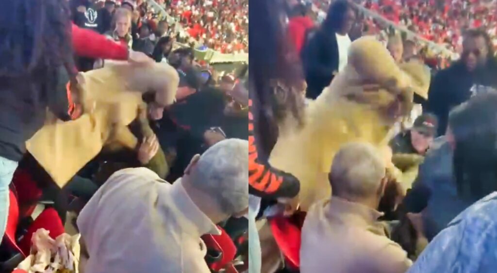 Atlanta Falcons fans fighting in stands