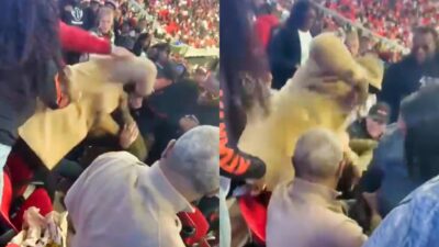 Atlanta Falcons fans fighting in stands