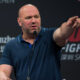 Dana White Suggests Retirement for fighters