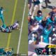 Trevor Lawrence and Jags-Texans fighting