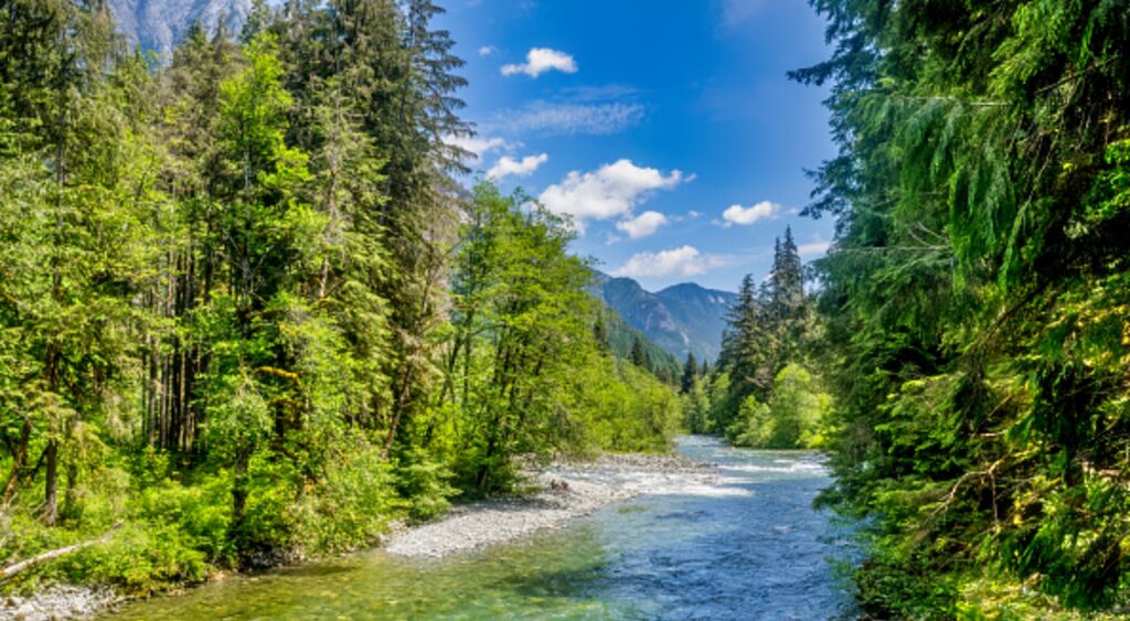 Photo of Middle Fork Snoqualmie River valley for article on Sasquatch