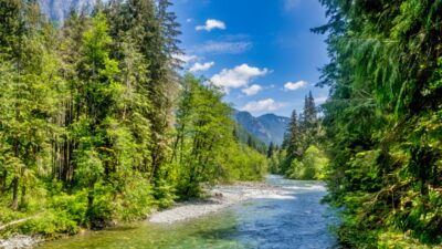 Photo of Middle Fork Snoqualmie River valley for article on Sasquatch