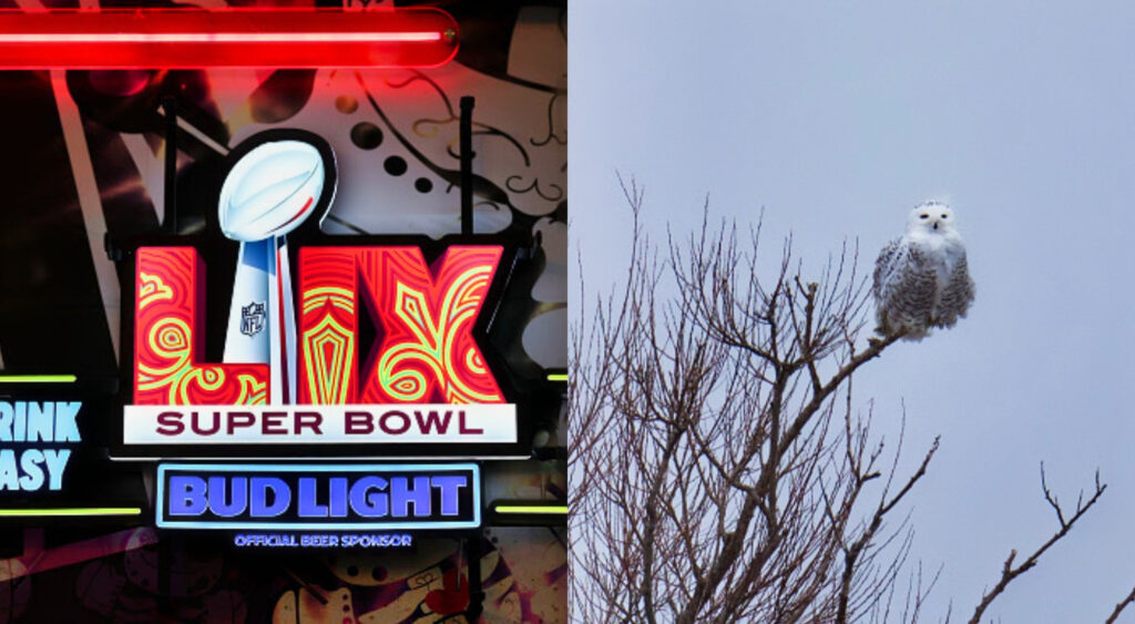 Bizarre Super Bowl Tradition