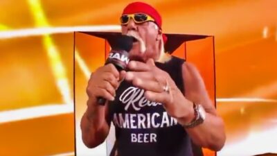 Hulk Hogan speaking to WWE crowd