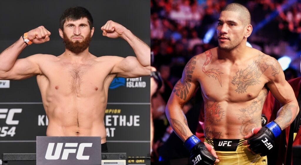 Magomed Ankalaev's camp reveals a surprising update on the Alex Pereira title fight, blaming 'too much politics' for the uncertainty