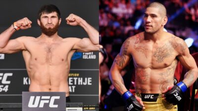 Magomed Ankalaev's camp reveals a surprising update on the Alex Pereira title fight, blaming 'too much politics' for the uncertainty