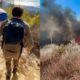 Photos of hikers running from Palisades fire