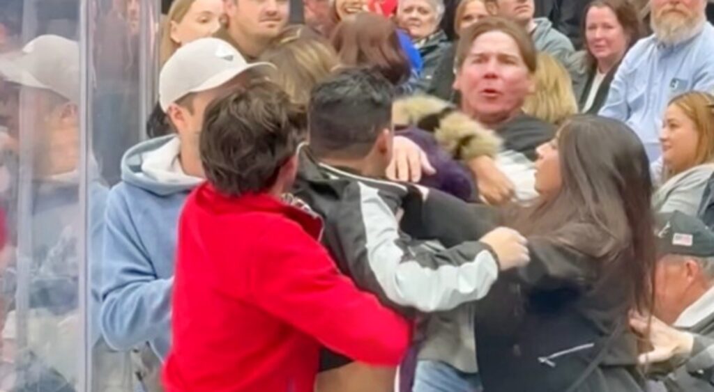 Los Angeles Kings fans fighting during game.