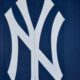 MLB Sportscaster Says The Yankees Reign Supreme In The American League